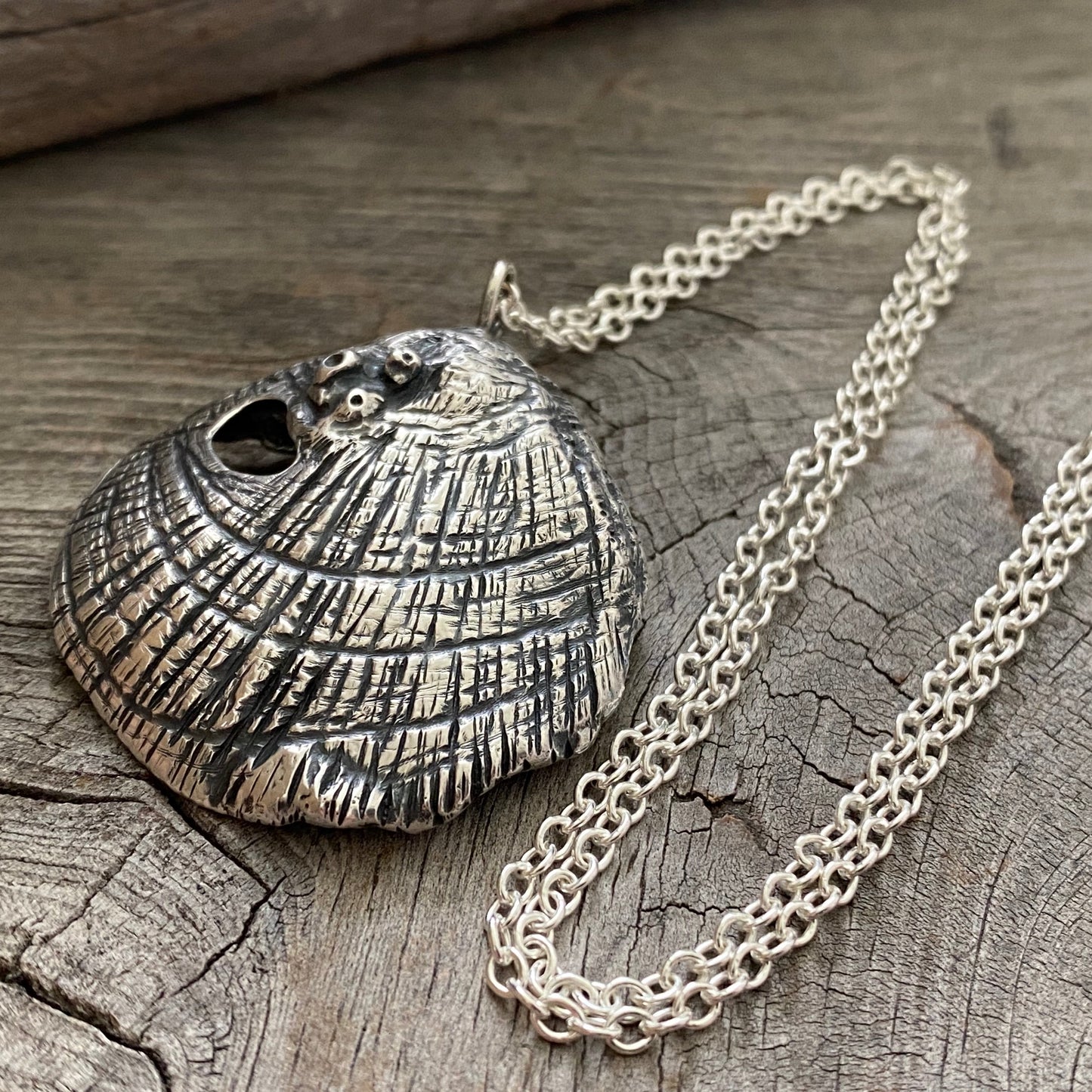 (Reserved for S do not buy) Hand Forged Oregon Coast Shell Pendant