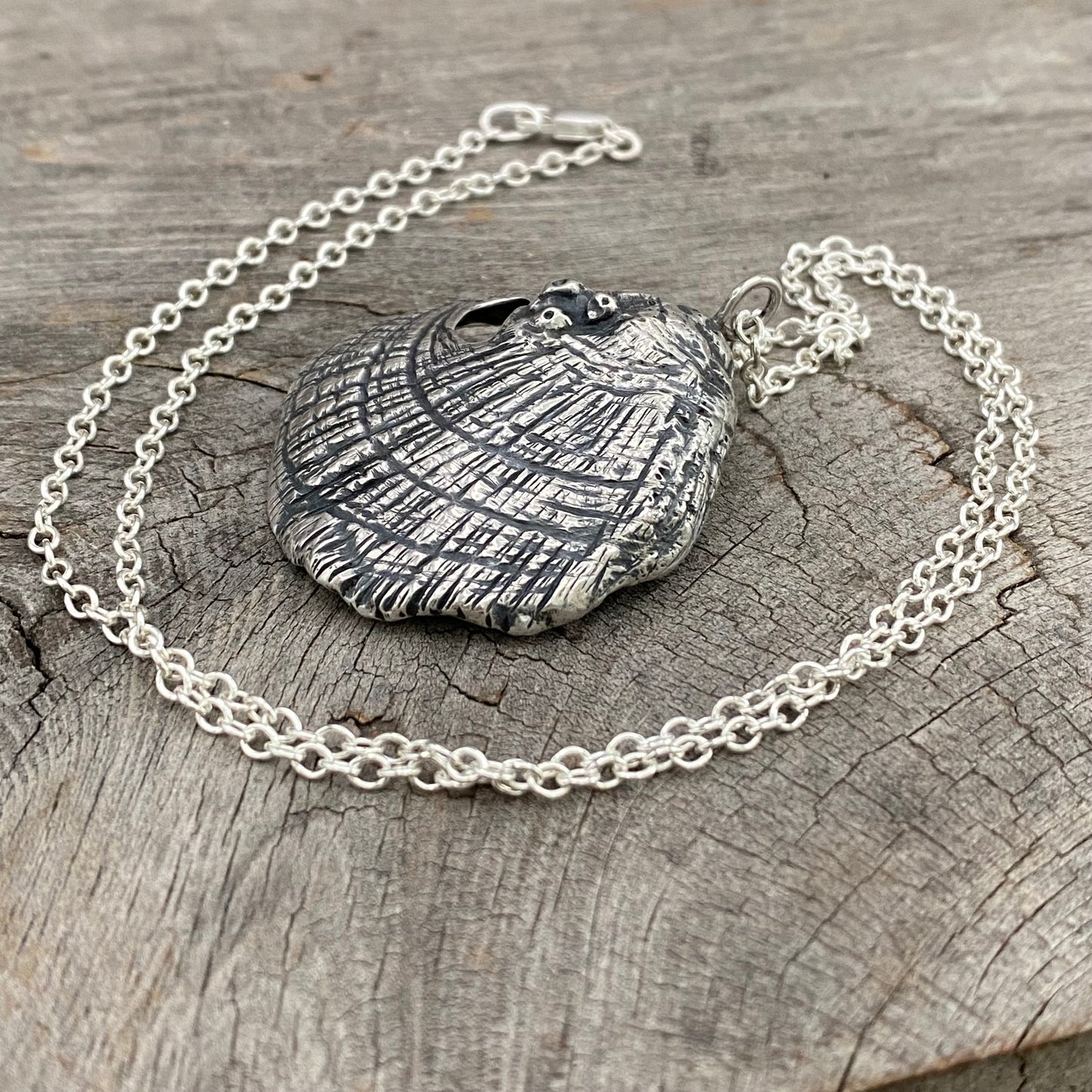 (Reserved for S do not buy) Hand Forged Oregon Coast Shell Pendant