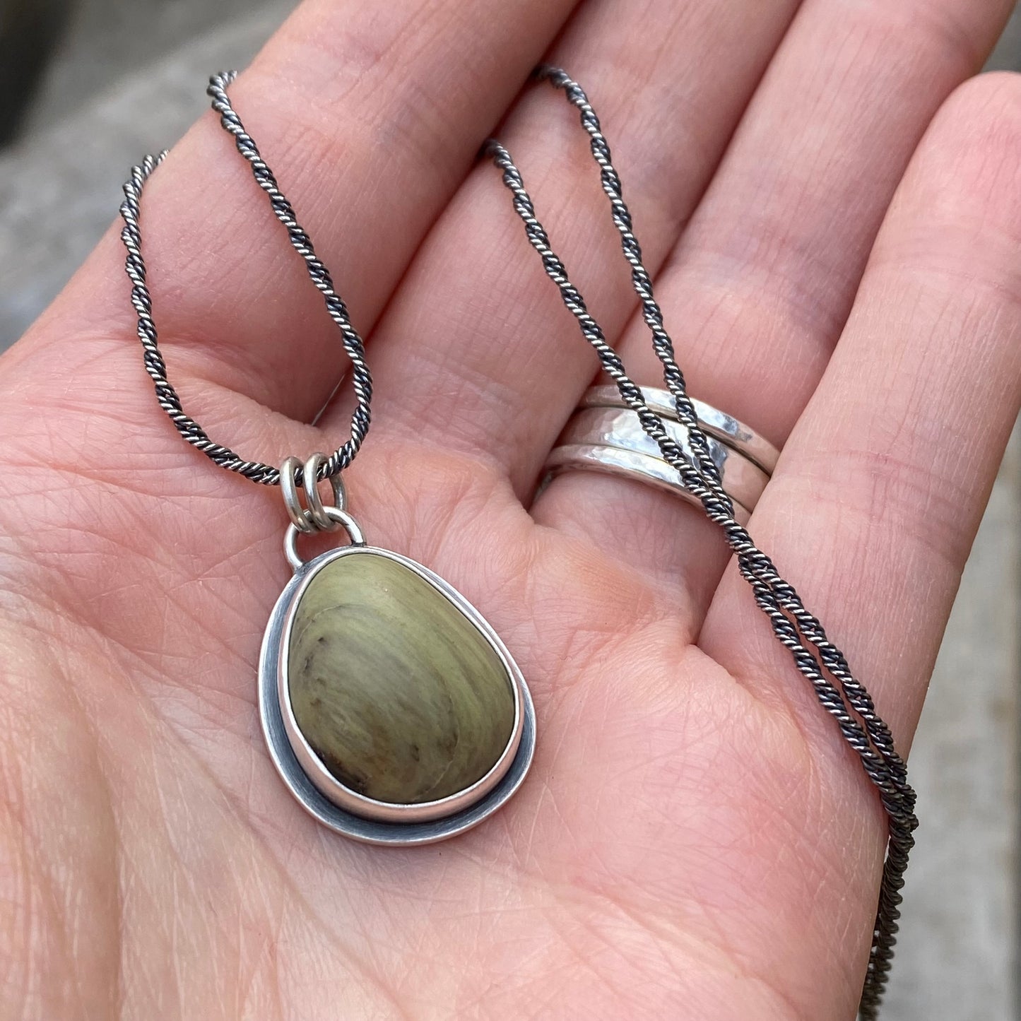 Vancouver Island petrified wood pendant