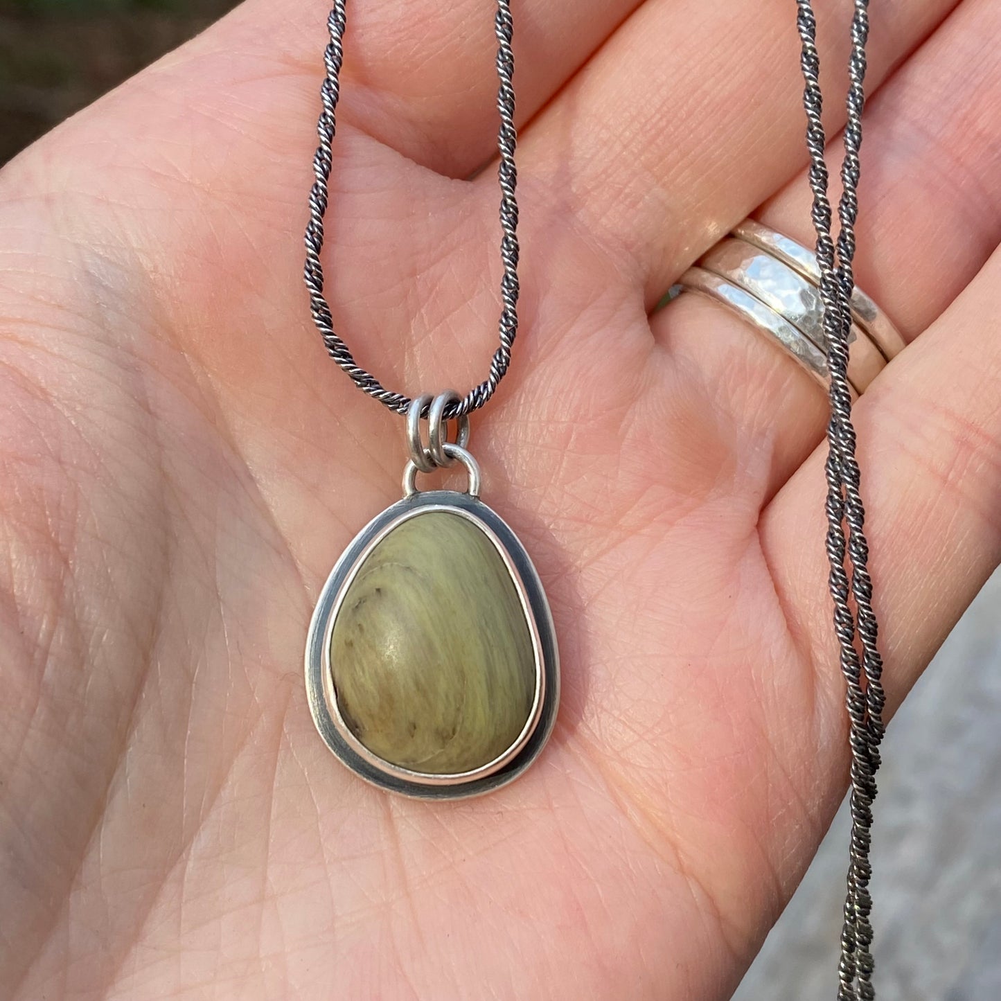 Vancouver Island petrified wood pendant