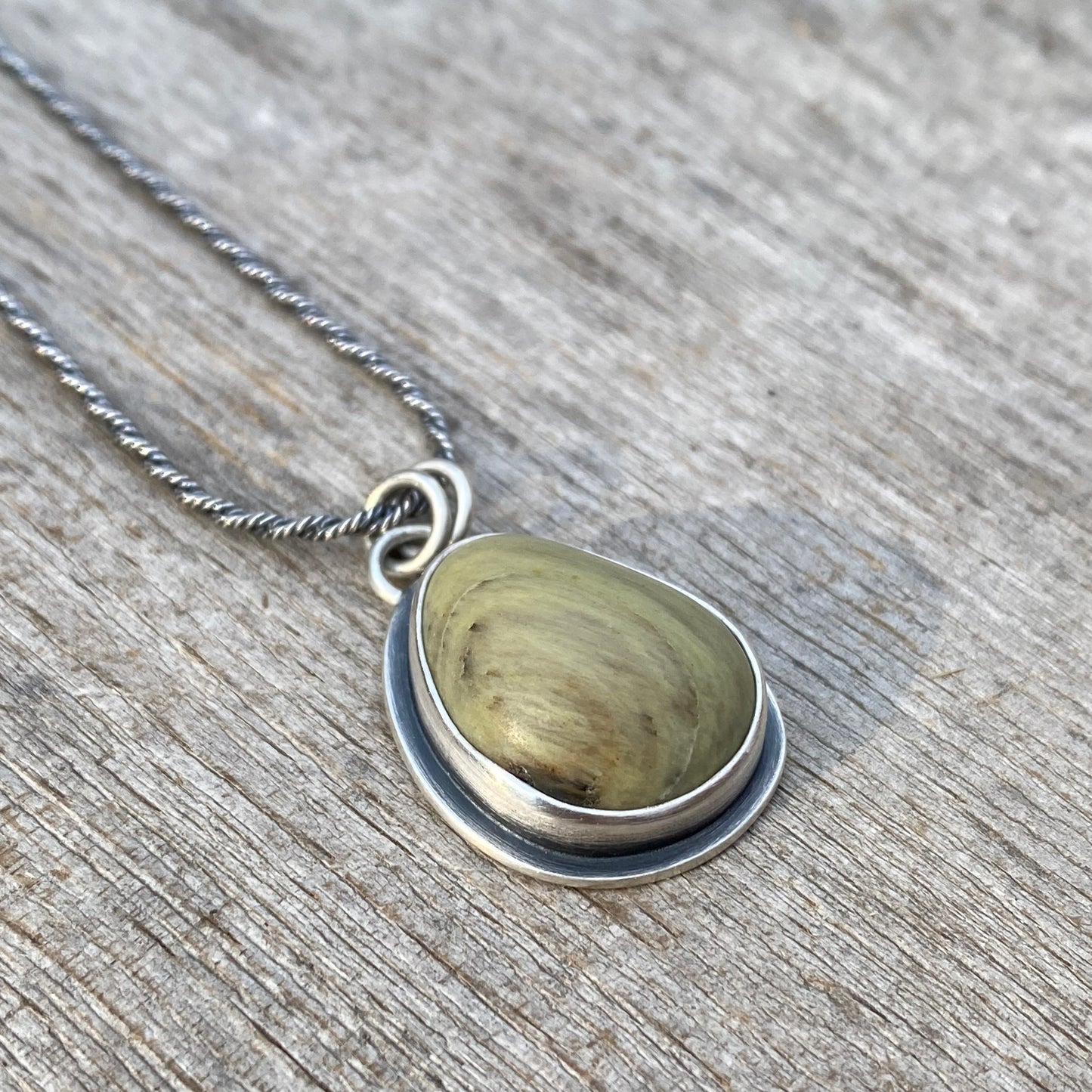 Vancouver Island petrified wood pendant
