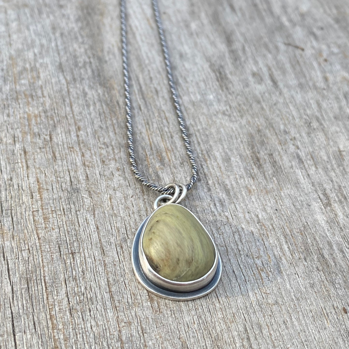 Vancouver Island petrified wood pendant