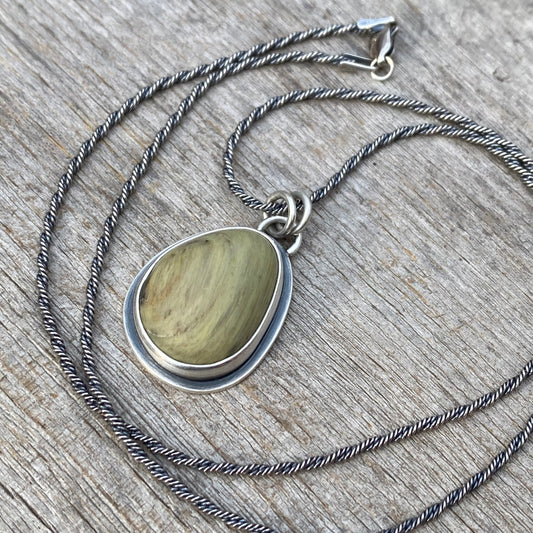 Vancouver Island petrified wood pendant