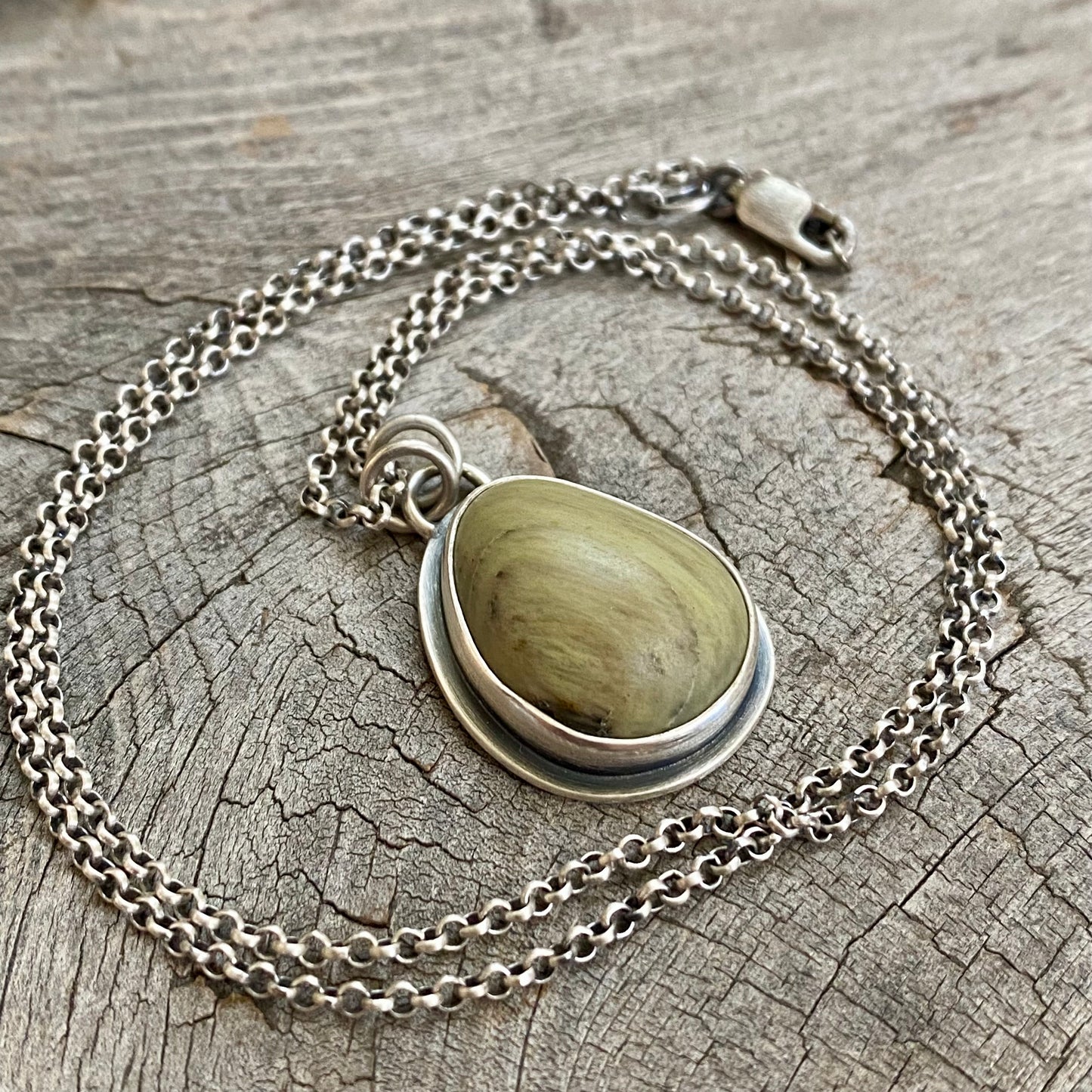 Vancouver Island petrified wood pendant