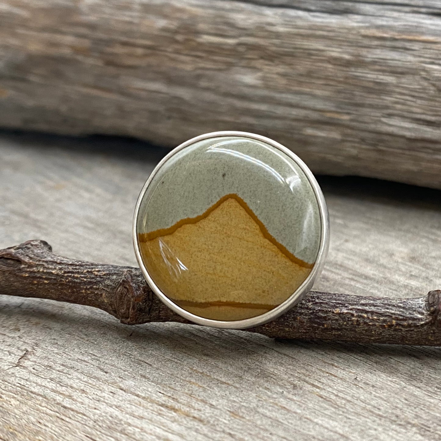 Oregon Blue Mustang Picture Jasper Mountain Ring