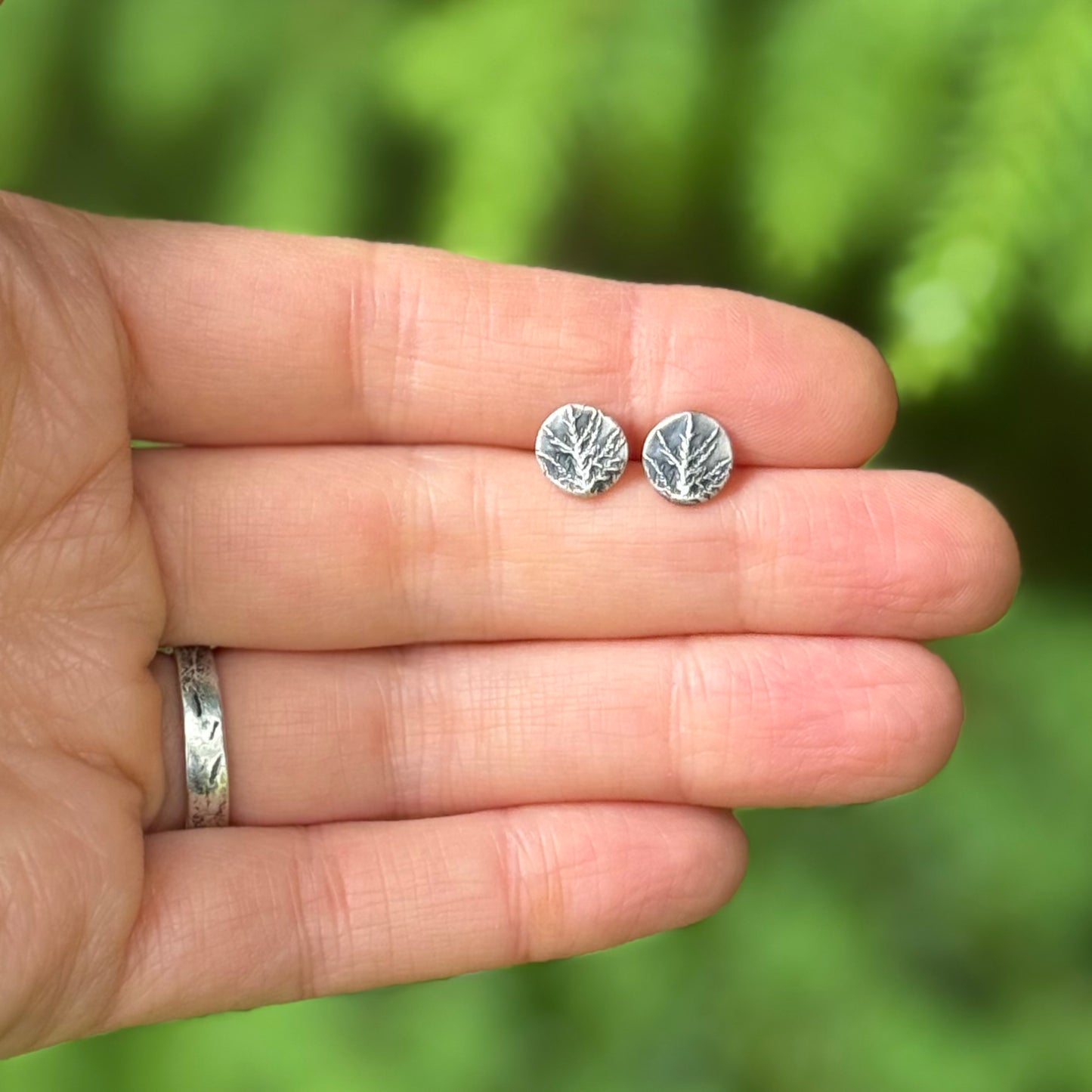 Oregon Coast Glittering Wood Moss Studs