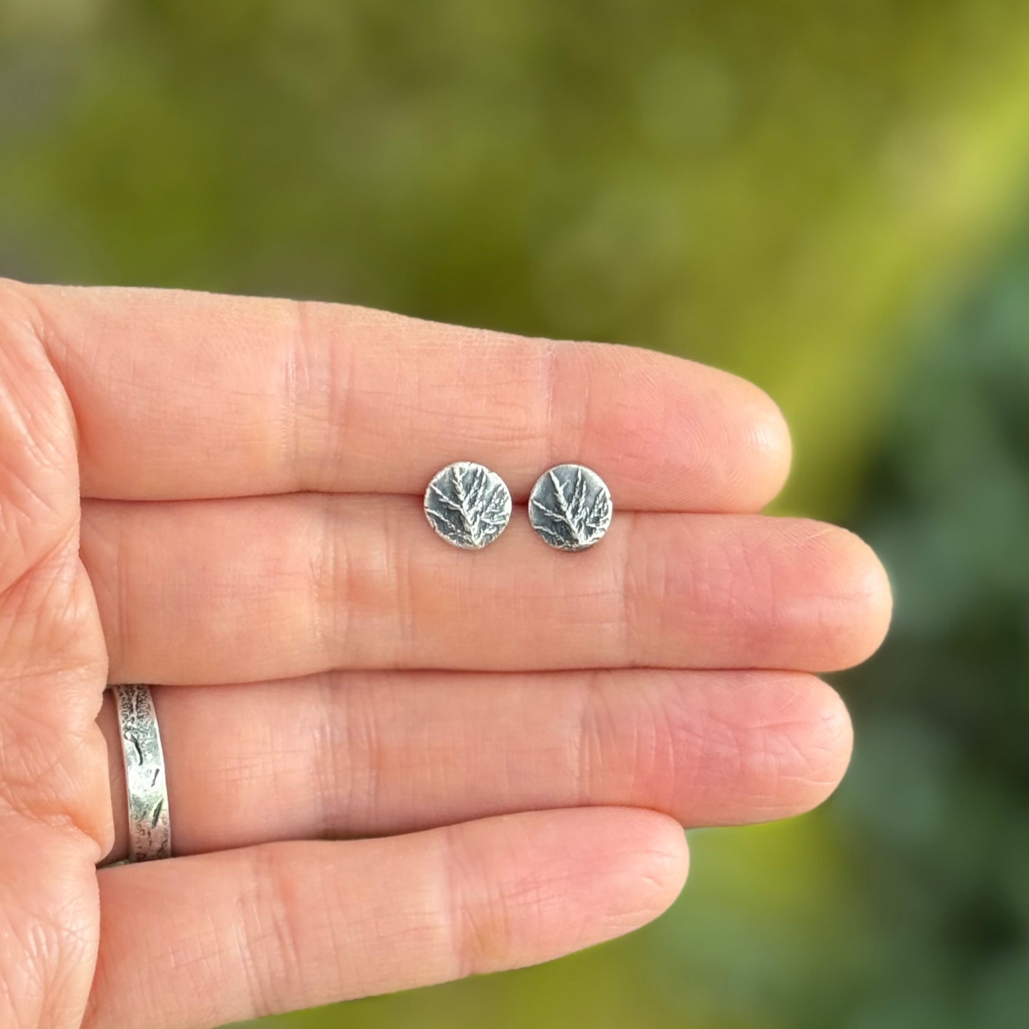 Oregon Coast Glittering Wood Moss Studs