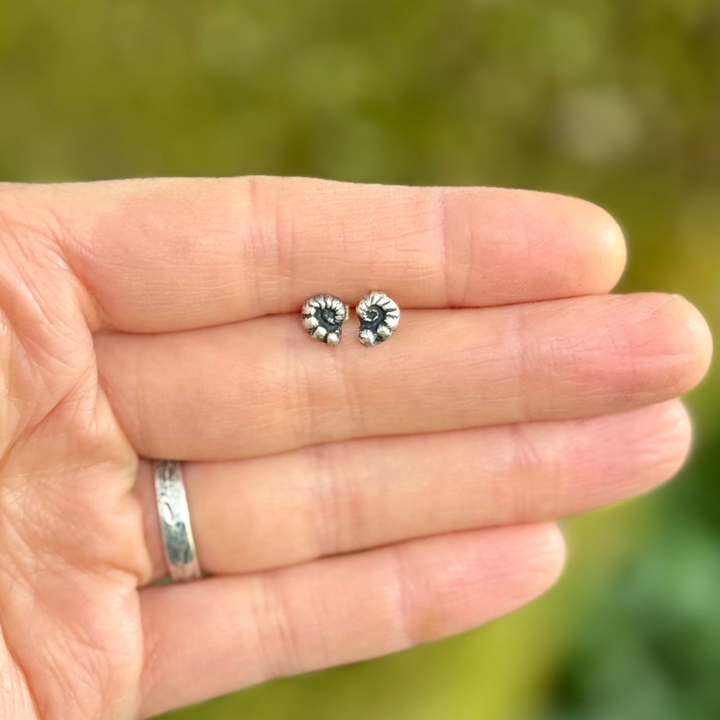 Oregon Fiddlehead Fern Studs