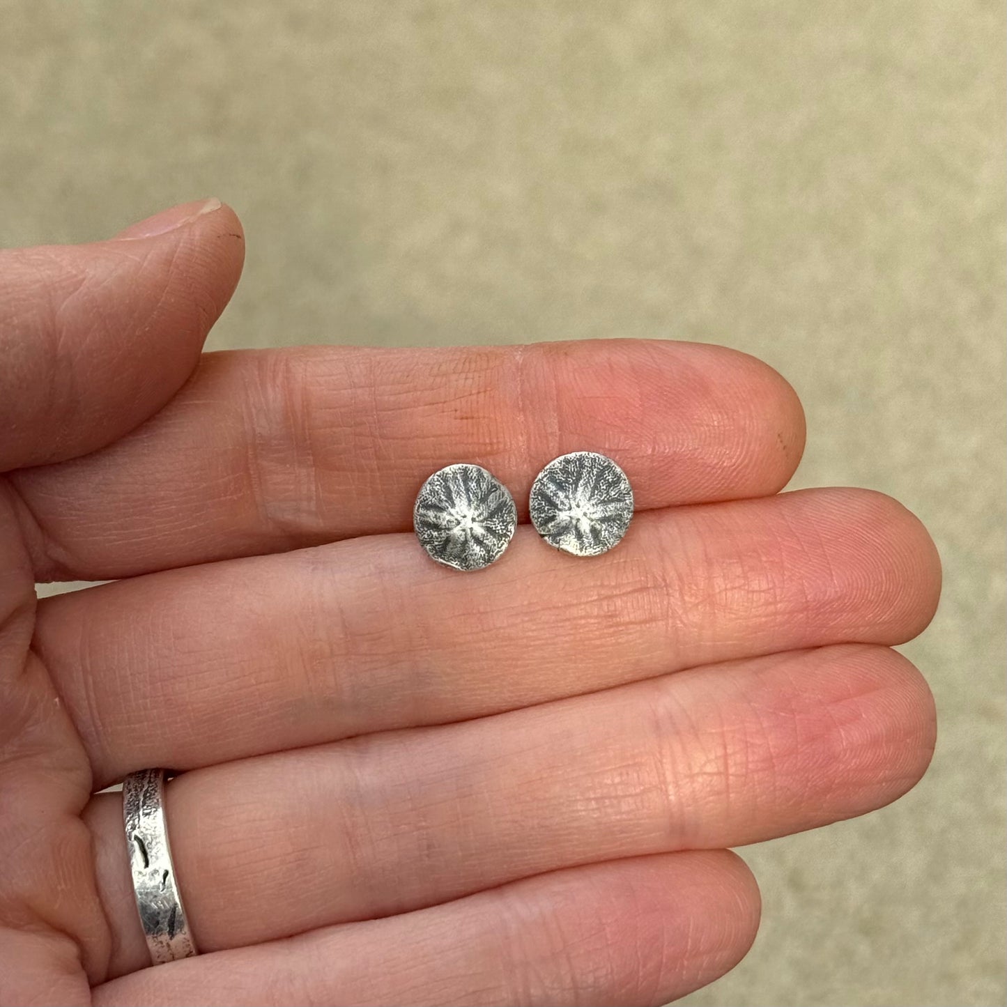 Oregon Coast Sand Dollar Studs