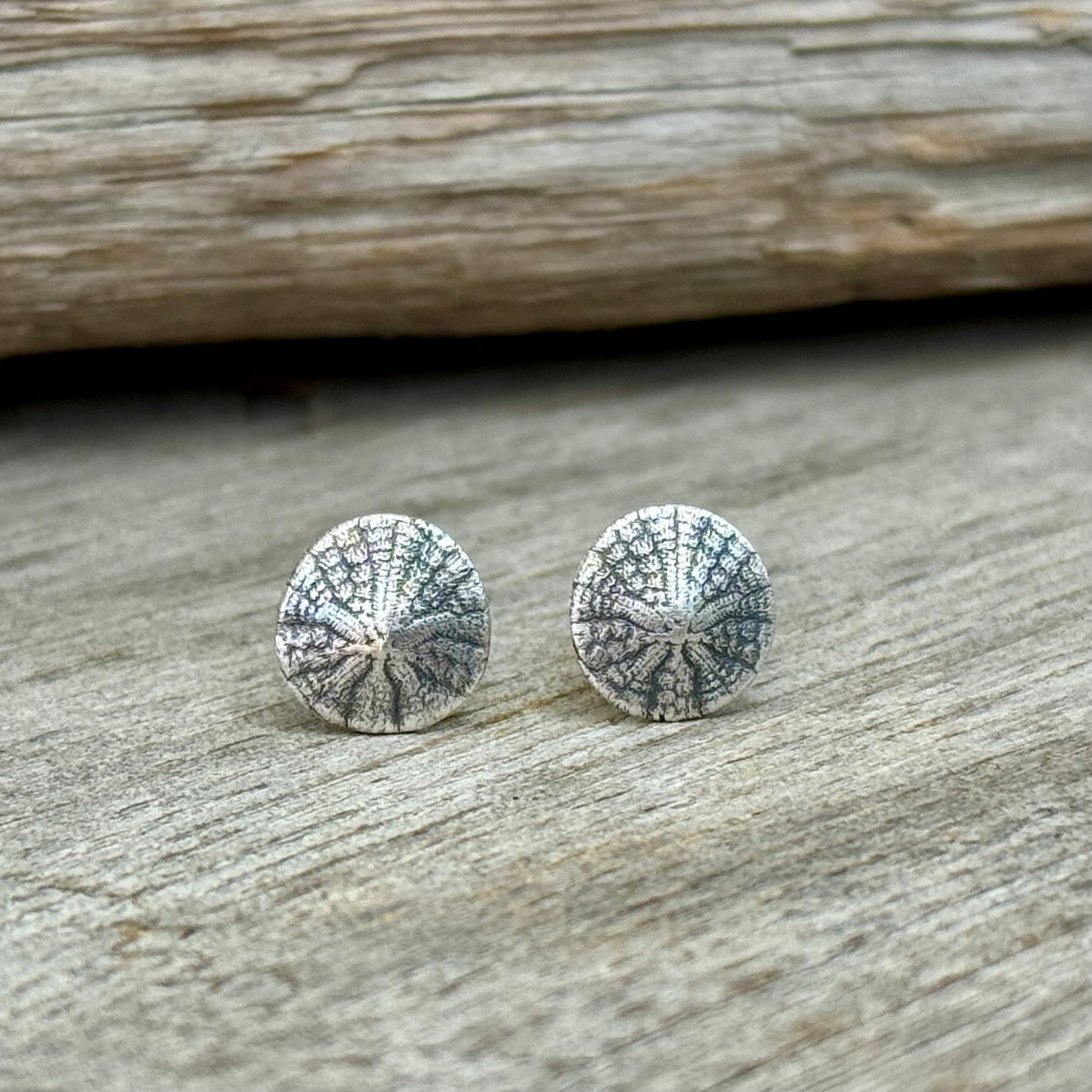 Oregon Coast Sand Dollar Studs