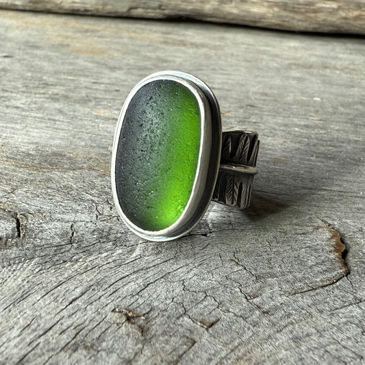 Oregon Deer Fern Forest Light Ring