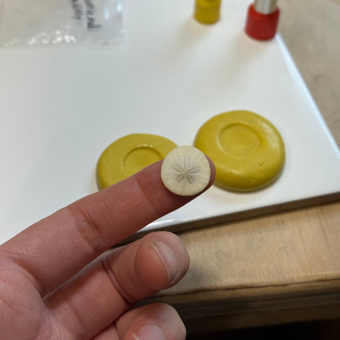 Tiny Oregon Coast Sand Dollar Pendant