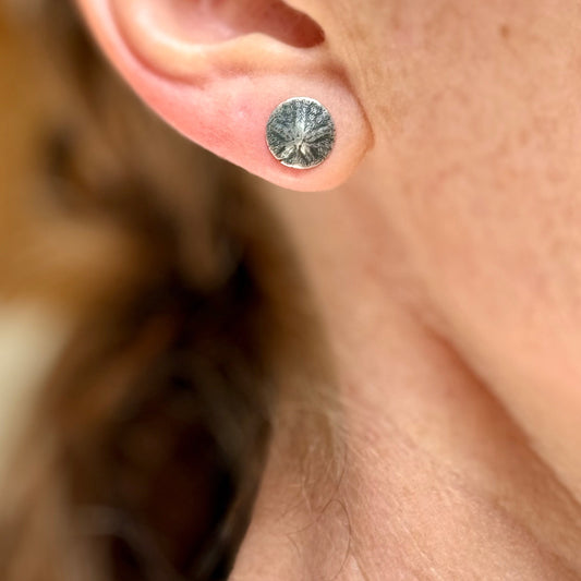 Oregon Coast Sand Dollar Studs
