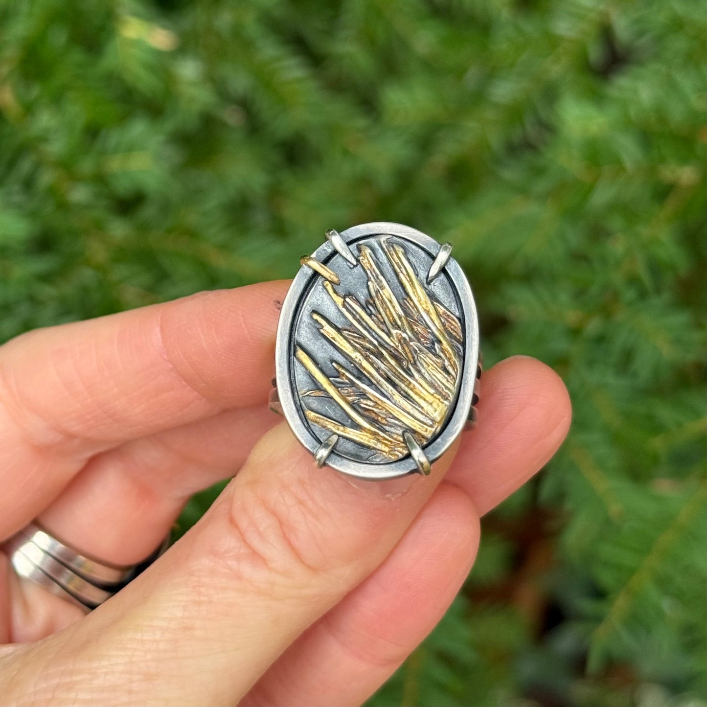 Oregon Shore Pine Gold and Silver Rings