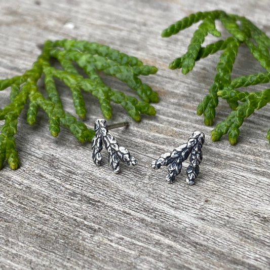 Evergreen Leaf Sterling Silver Studs